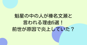魁星の中の人が榛名文瀬と言われる理由5選！前世が原因で炎上していた？